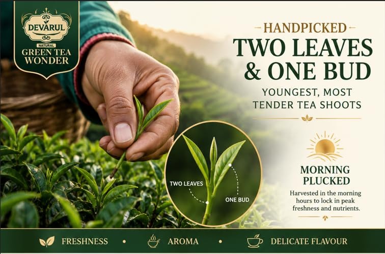 Green Tea Leaf Wonder