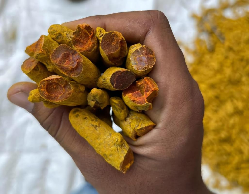 Devarul Rajapuri Haldi Powder